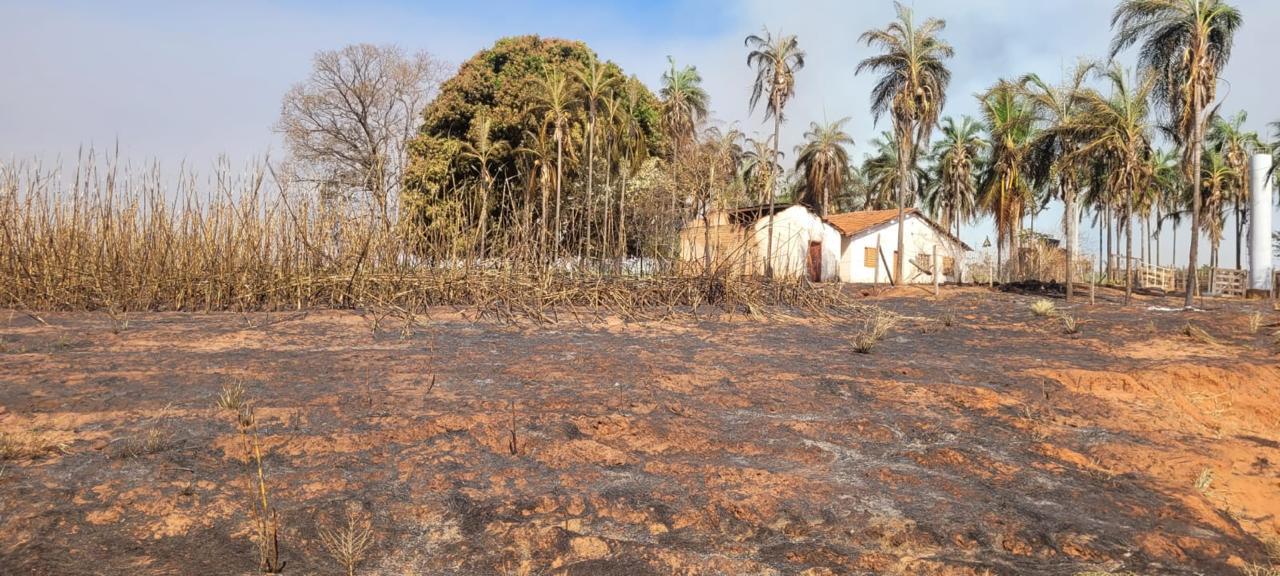 SP mantém gabinete de crise e reforça ações para combater incêndios