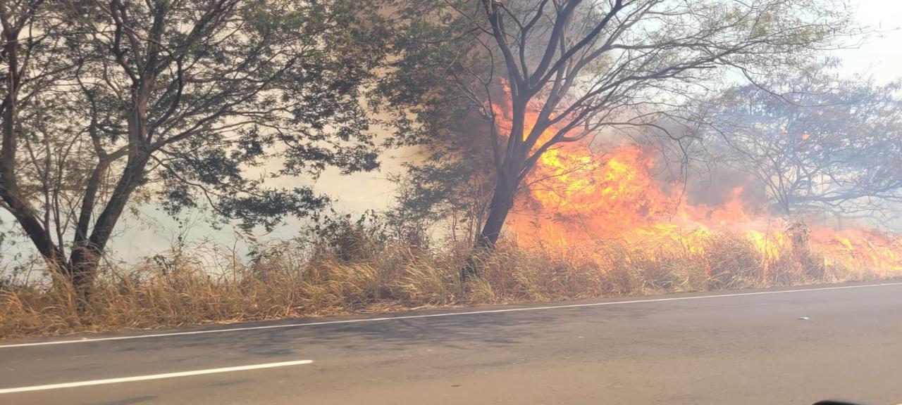 Frente fria reduz focos de fogo em SP, mas calor pode intensificá-los novamente