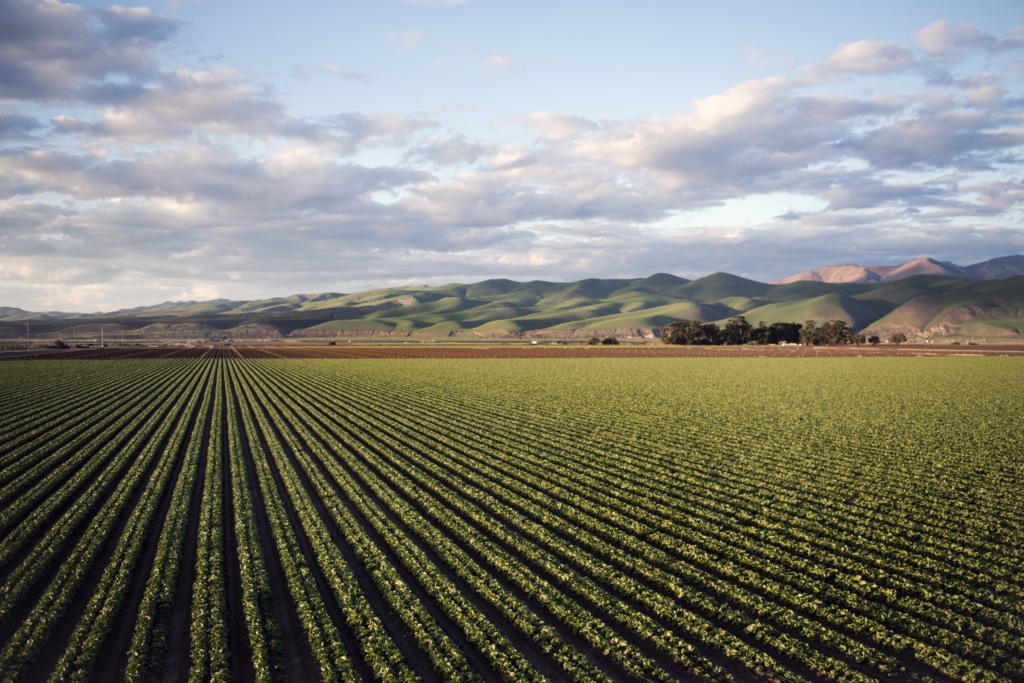 Áreas tratadas por defensivos agrícolas crescem 9,3% no 1º semestre de 2024, diz pesquisa Áreas tratadas por defensivos agrícolas crescem 9,3% no 1º semestre de 2024, diz pesquisa