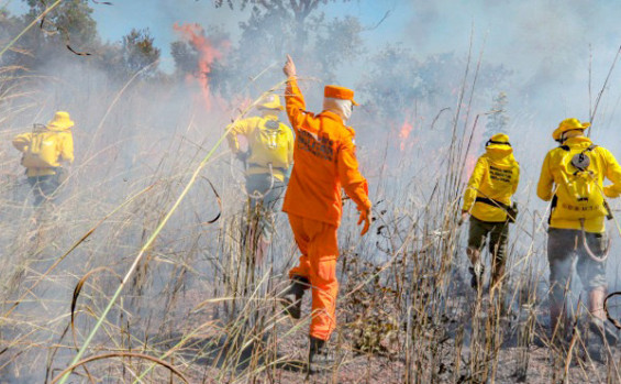 incêndio, buritirana, zona rural, palmas, tocantins, matopiba, fogo, queimadas