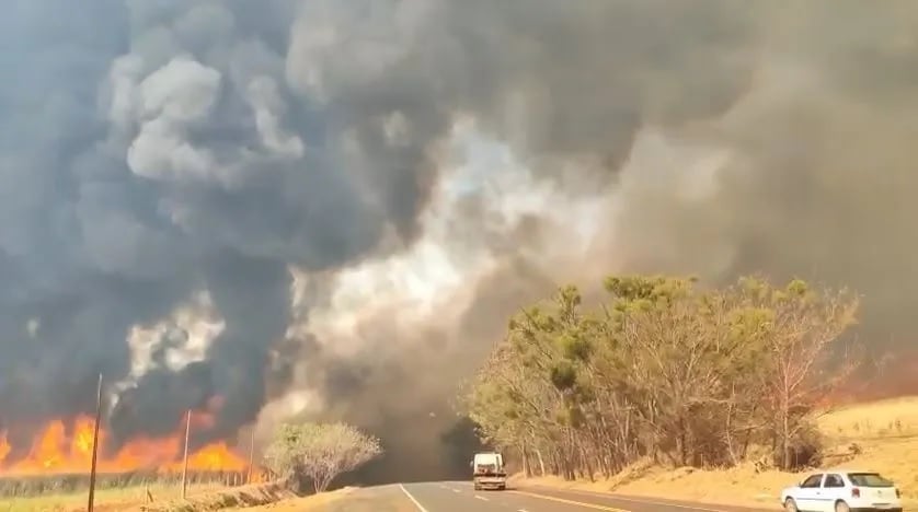 Incêndios em SP: 5 cuidados para proteger a saúde em meio ao clima seco e à fumaça