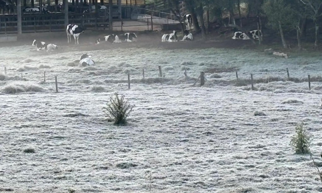geada em Piraí do Sul, Paraná geada em Piraí do Sul, Paraná
