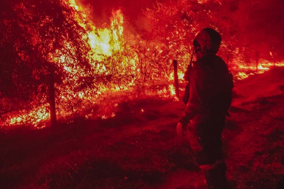 Fogo em vegetação e militar do Corpo de Bombeiros