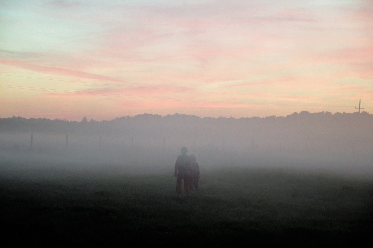 nevoeiro no campo