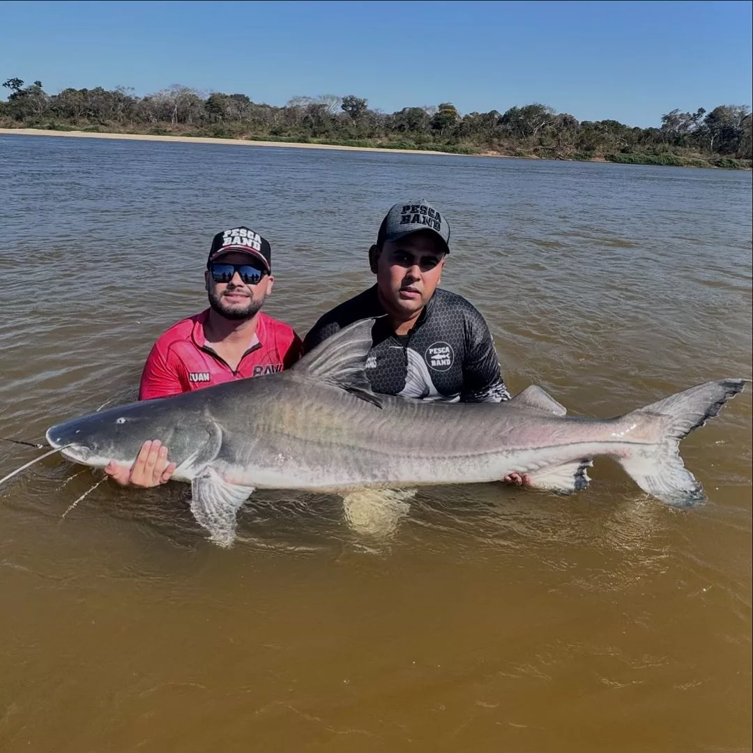 Peixe, Piraíba; pescadores