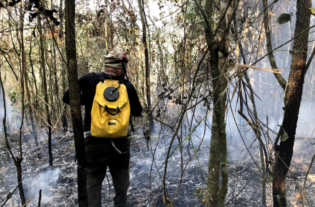 Incêndios Incêndios