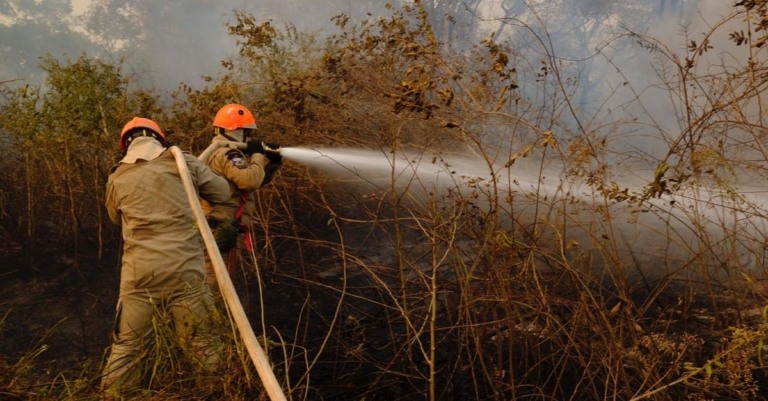 Nova legislação sobre incêndios no campo exige prevenção do produtor; entenda