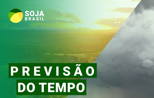 Chuva deve aparecer de forma gradual em algumas regiões produtoras da soja; confira onde