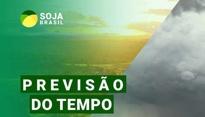 Chuva deve aparecer de forma gradual em algumas regiões produtoras da soja; confira quando