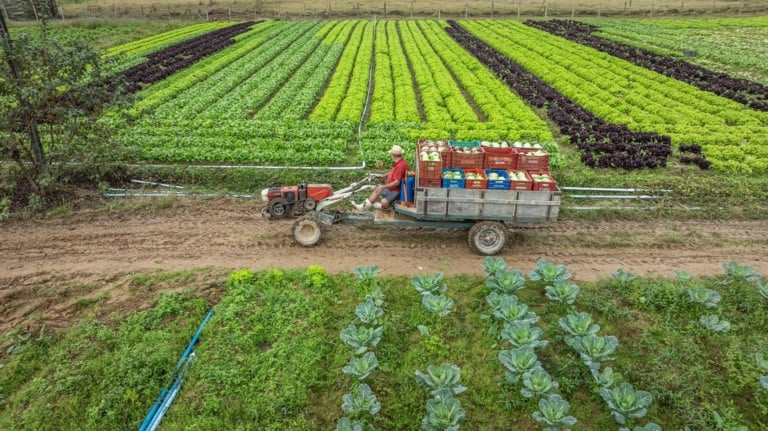 Santa Catarina investe mais de R$ 40 milhões em projetos de apoio aos produtores rurais