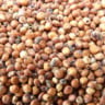 Grãos, sorgo; Embrapa