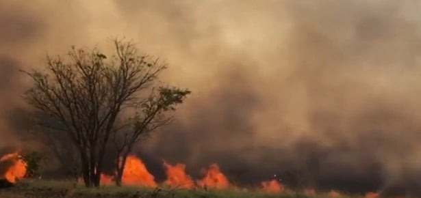 'Vamos garantir que o produtor volte a produzir', afirma Fávaro sobre crédito de R$ 6,5 bi para áreas incendiadas