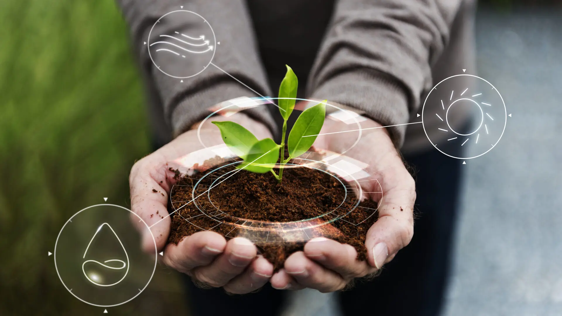 Evento em SP promove debate sobre lucros e sustentabilidade na agricultura regenerativa