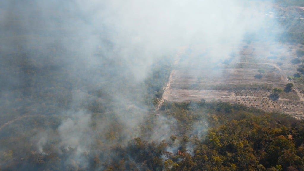 Impacto das queimadas na produção agropecuária e agrícola, no Cerrado, do Matopiba; o que diz setor sobre assunto