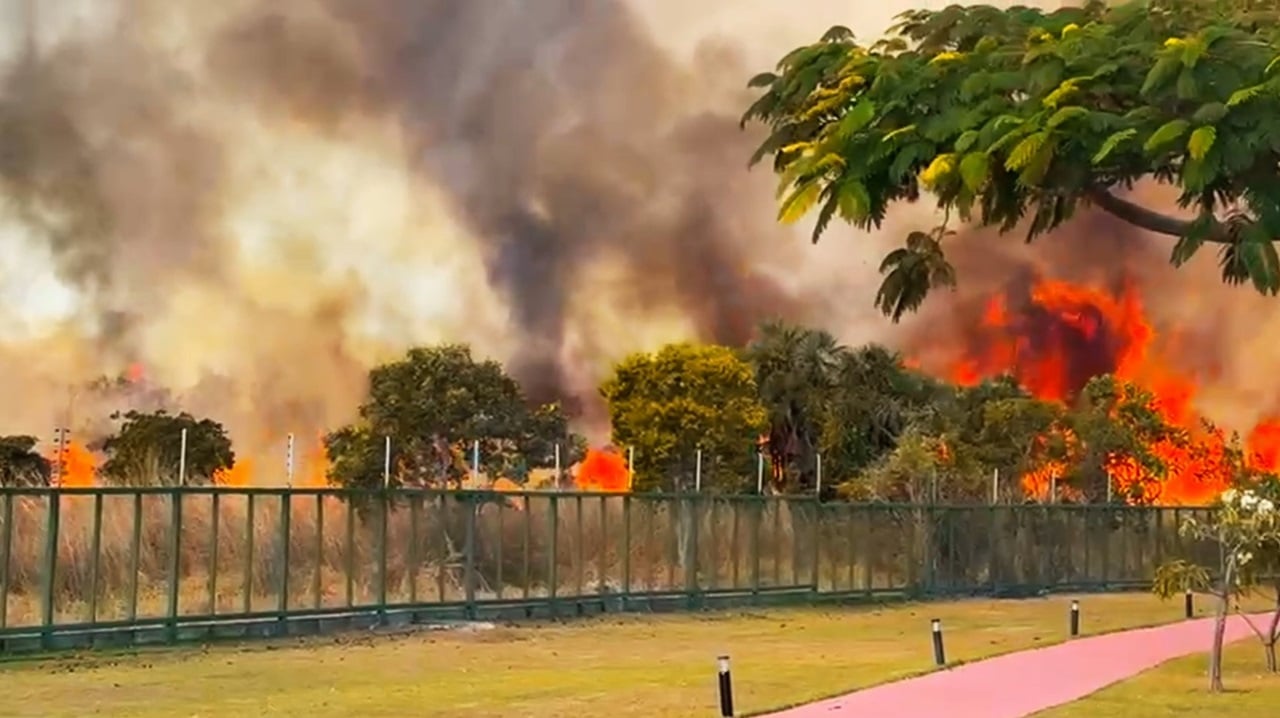 Prevenir e combater queimadas, cerrado sem fogo, série especial, canal rural ba