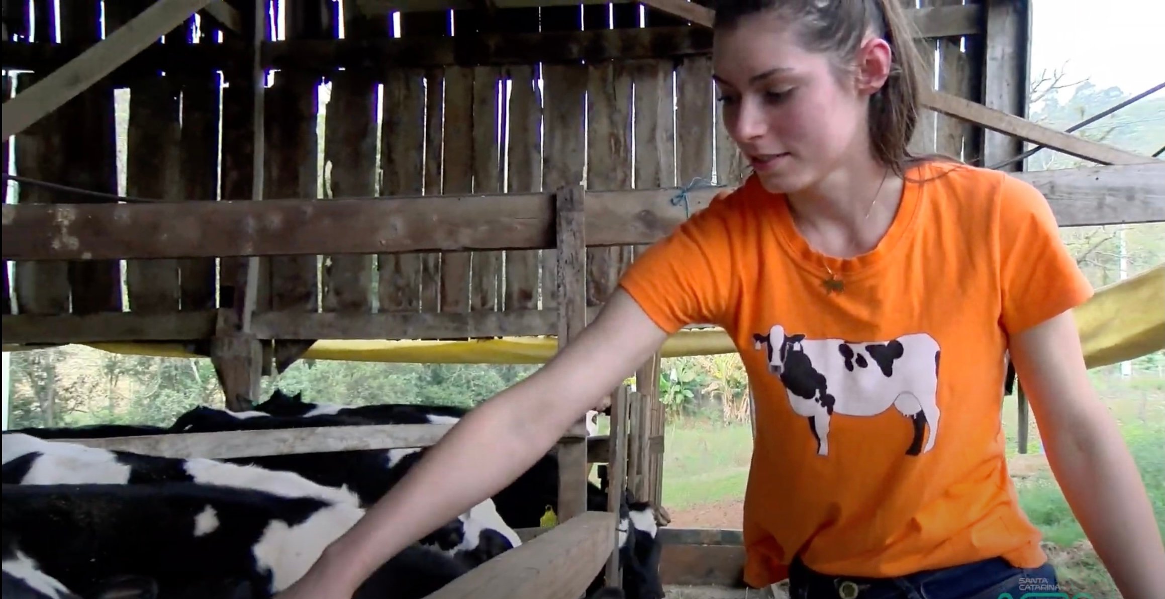 Giovana Rosalem, uma das filhas da familia Rosalem, trabalhando com os animais. 