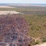 Alta frequência de queimadas podem alterar a fitofisionomia do bioma; matopiba, Cerrado