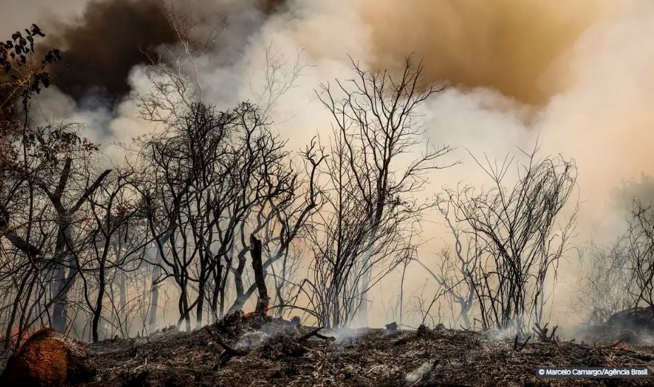 incêndio Floresta Nacional de Brasília