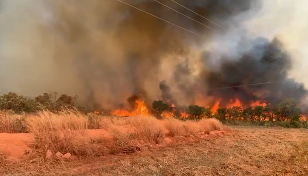 Polícia Civil do Piauí, investiga morte de brigadistas após incêndio florestal em Uruçuí Polícia Civil do Piauí, investiga morte de brigadistas após incêndio florestal em Uruçuí