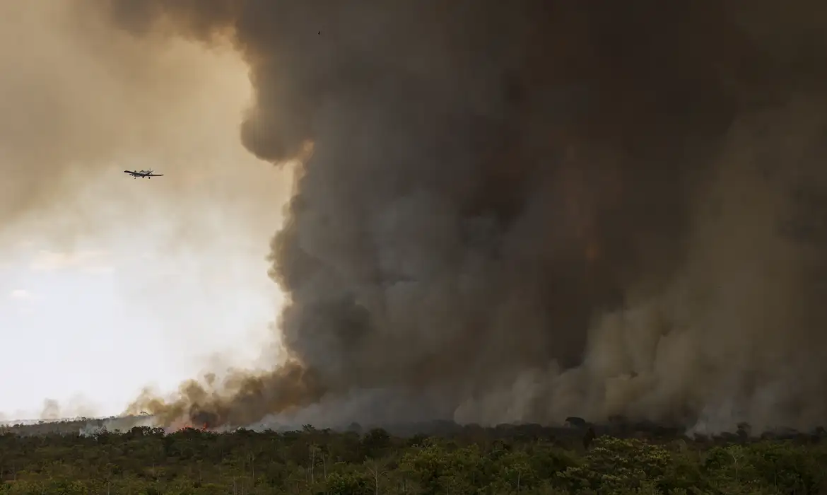 incêndio Parque Nacional de Brasília