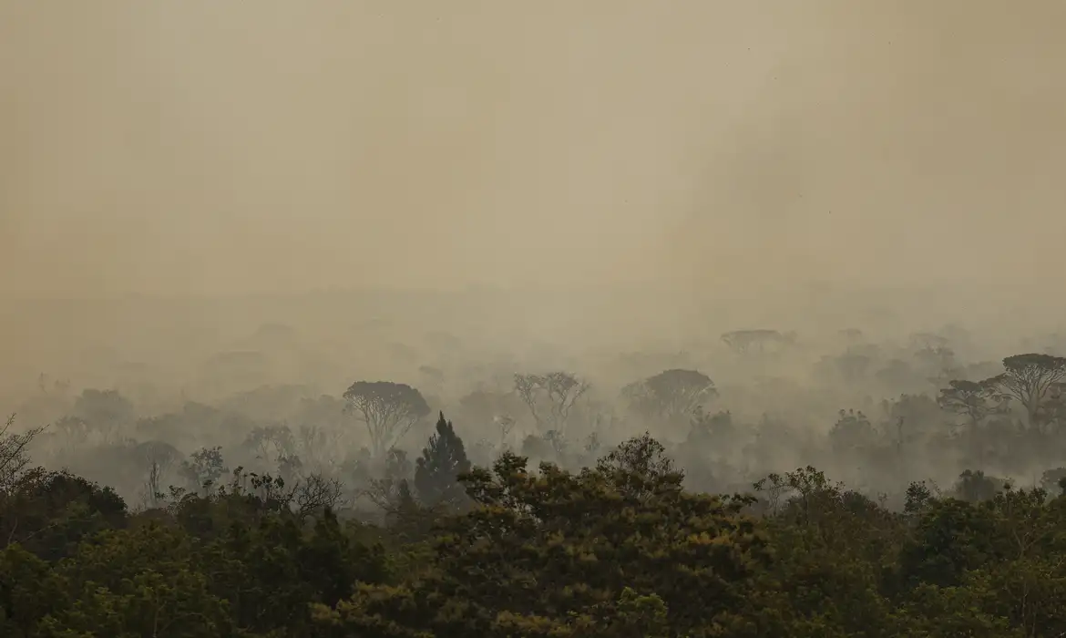 AGU cobra R$ 89 milhões de acusados de causar queimadas na Amazônia