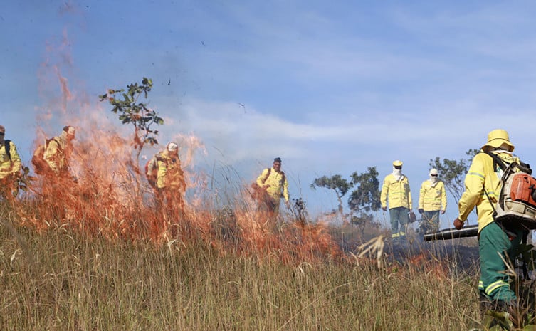 Queimadas colocam Tocantins em estado de emergência