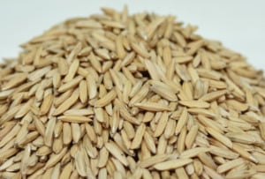 Semente de arroz