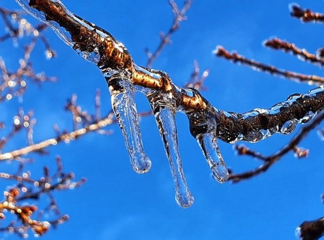 frio - geada ampla