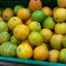 laranja frutas