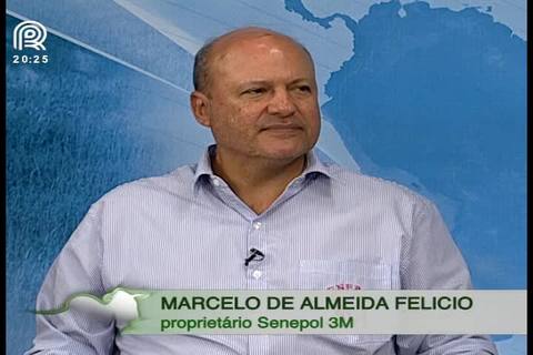 Senepol 3M traz leilão de peso ao Canal Rural