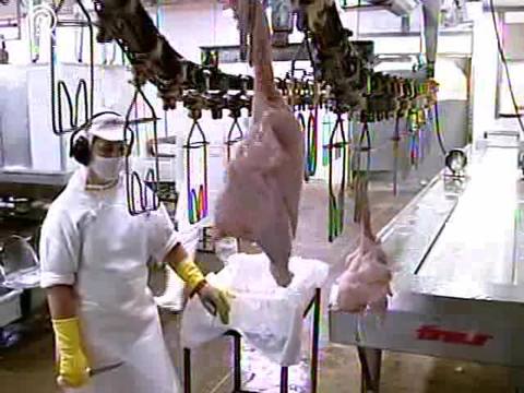 Exportações de frango crescem 14% em janeiro