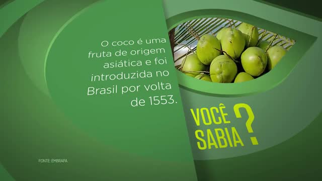 Blog minuto do sabor - sorvete de coco