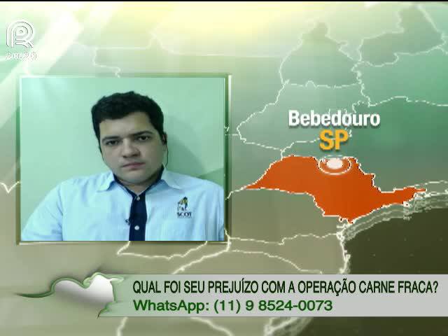 Boi: por que o preço está abaixo da referência