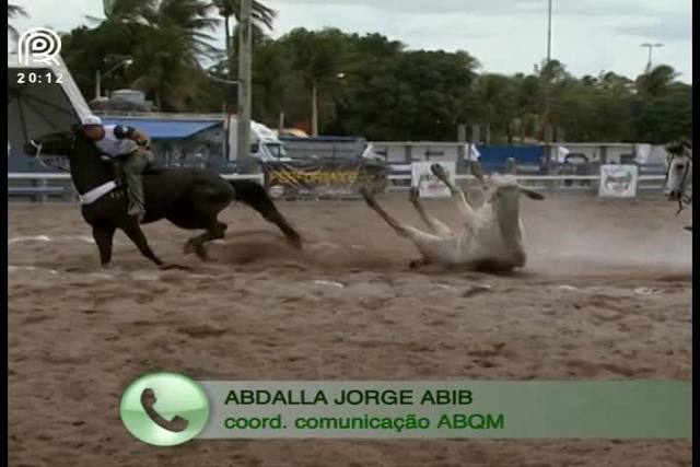 Entidade do quarto de milha defende a vaquejada