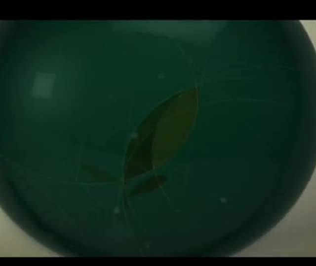 Agrocurso Máquinas – Aula 13