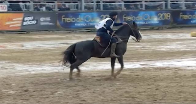 Copa do mundo do cavalo crioulo agita semana no RS