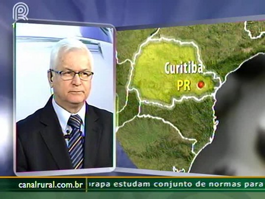 Produtividade das safras de grãos norte-americana pode gerar alta oferta dentro do mercado internacional