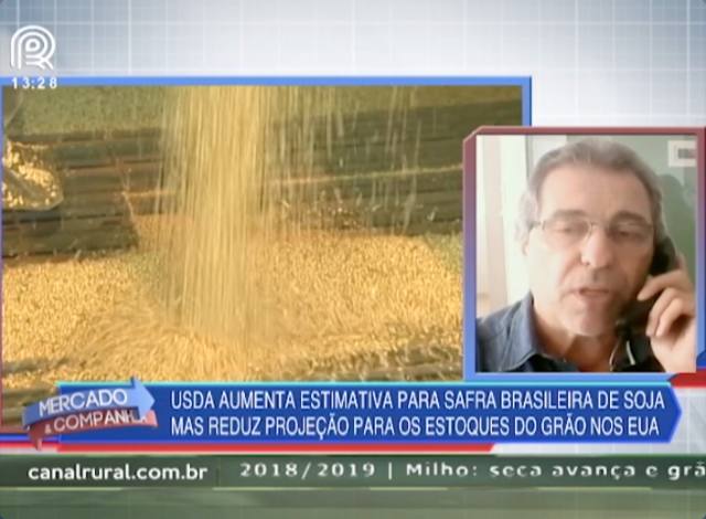 USDA: veja como o relatório afetou o mercado