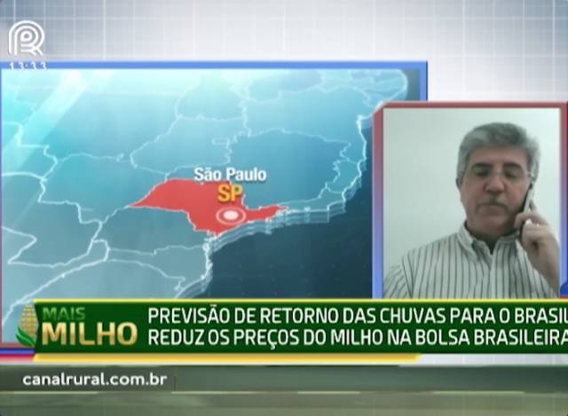 Milho: previsão de chuva reduz preços no Brasil