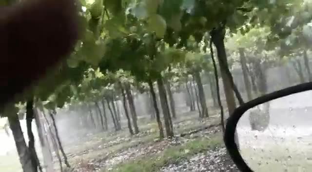 Chuva de granizo causa estragos em lavouras do RS