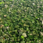 Amazônia, COP28, investimento, Brasil