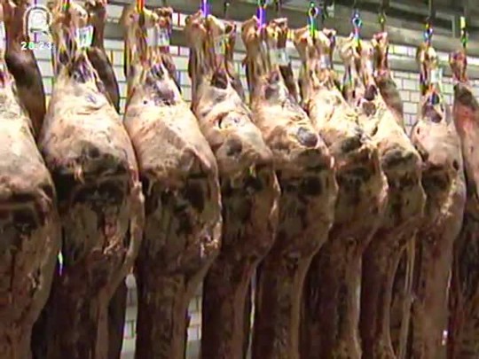 Exportações de carne bovina brasileira já ultrapassam um milhão de toneladas