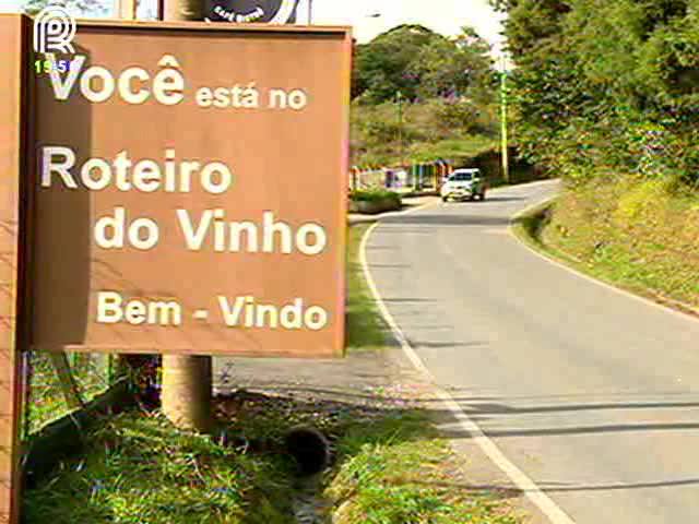 Município de SP é considerado paraíso do vinho