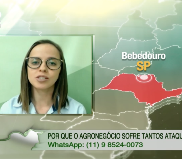 Boi gordo: ofertas de compra estão acima da referência