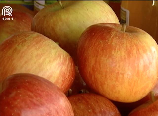 Governo lança plano para dobrar produção de frutas