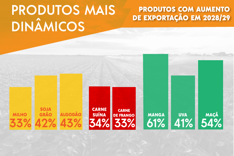 Estudo sobre grãos do Ministério da Agricultura