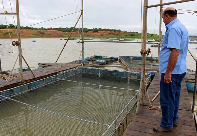 Criação de peixes