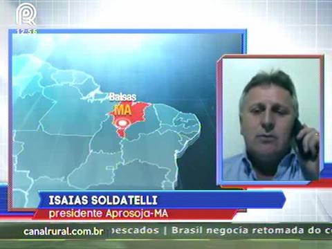 Soja: clima causa quebra da safra no Maranhão