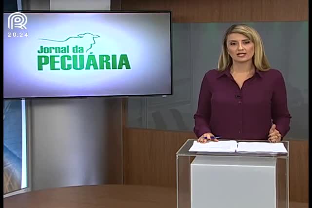 MT: imposto e indústria incomodam pecuaristas