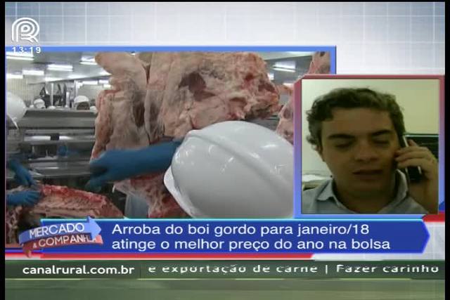 Boi gordo: preço de janeiro de 2018 aponta recuperação